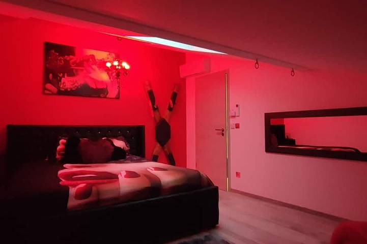 Location de vacances pour 4 personnes, avec jacuzzi et sauna ainsi que jardin et terrasse, animaux acceptés à Benfeld - 3