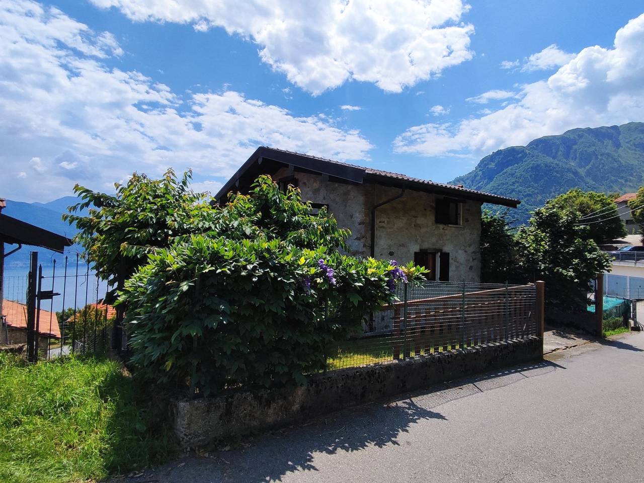 Glicine in Stazzona, Stazzona und Umgebung