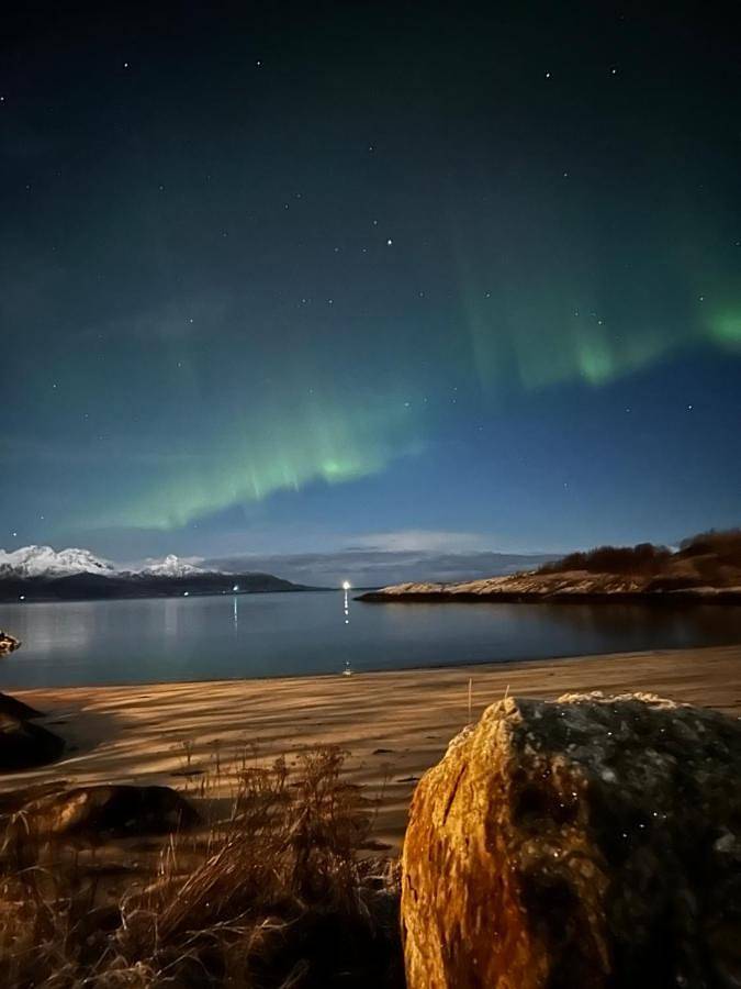 Seahouse Bodø in Bodø 