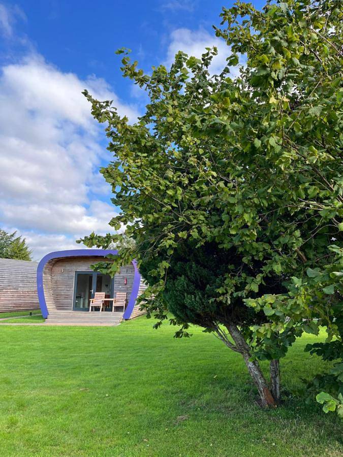 Whitemoss Lodge in Perthshire