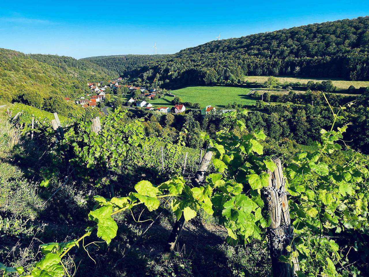 Apartamento entero, Apartamento 'Angernest' con jardín compartido, balcón y Wi-Fi in Elfershausen, Rhön-Bayern