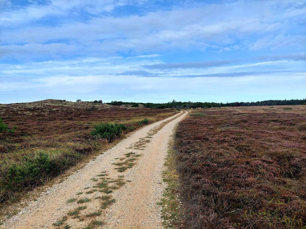 6 Personen Ferienhaus in Nørre Nebel in Nørre Nebel, Varde