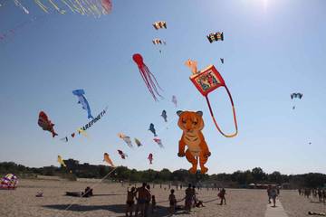 Camping per 4 Persone in Comacchio, Riviera Romagnola, Foto 3
