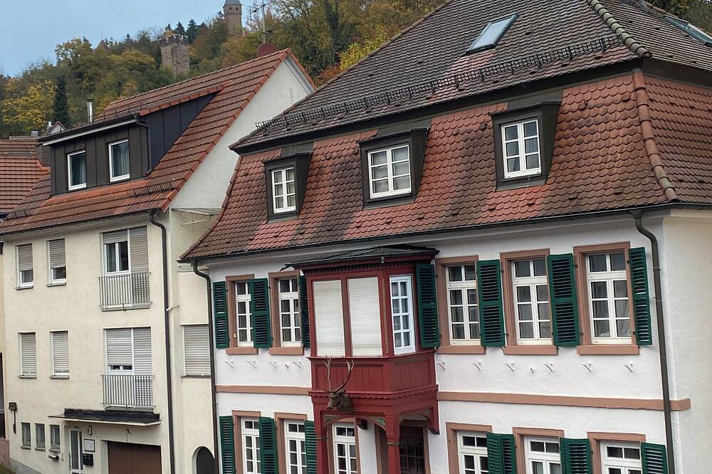 Ganze Wohnung, Neu renovierte Fewo im Zentrum  von Hirschhorn / Neckar direkt am Neckarsteig in Hirschhorn, Bergstraße