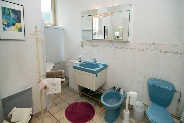Ganze Wohnung, Ferienwohnung - Colmar in Colmar, Colmar und Umgebung