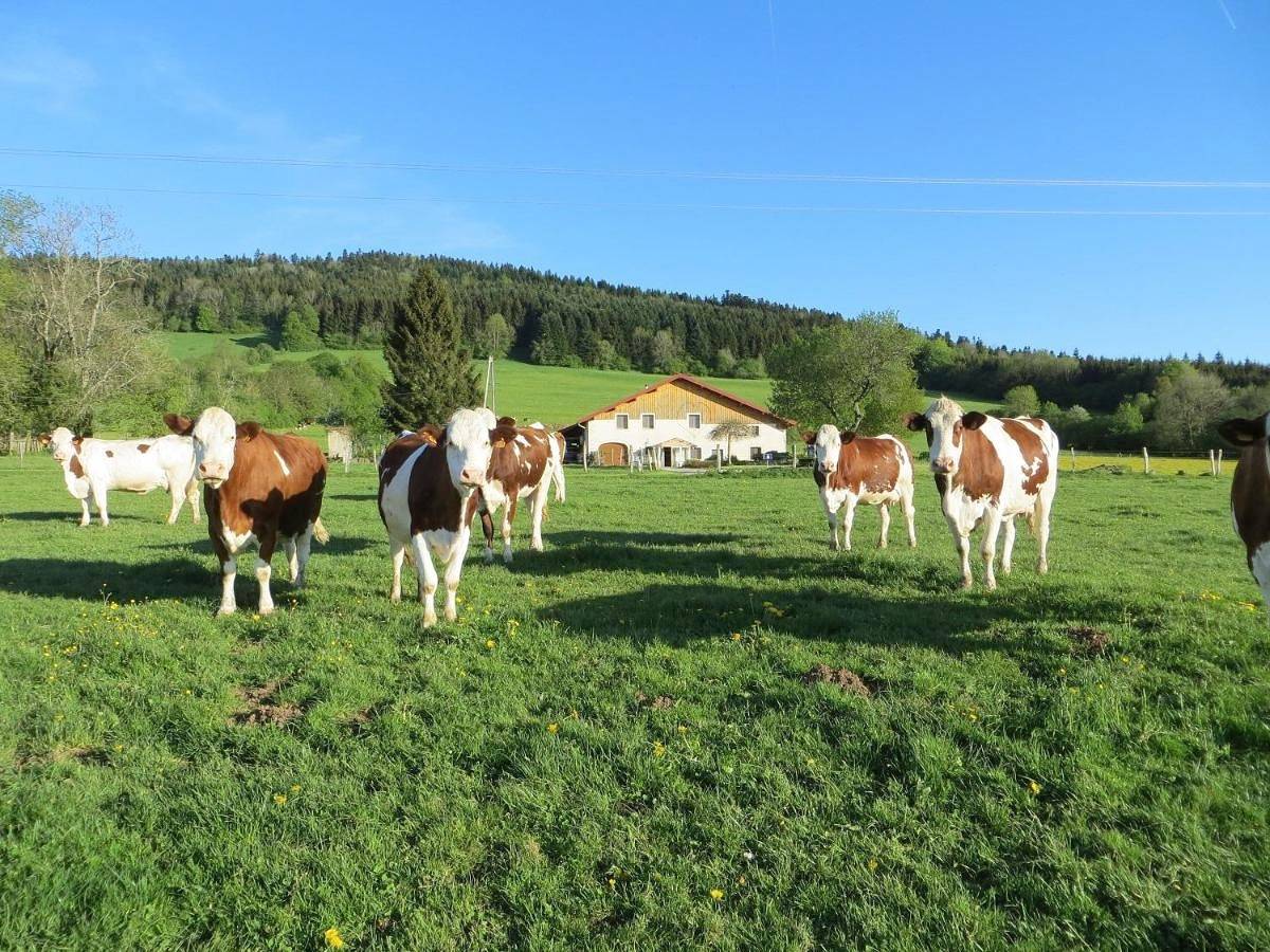 La ferme du bonheur in Pierrefontaine-les-Varans, Jura Francais