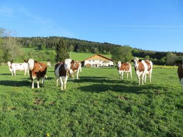 Chambre d’hôte pour 2 personnes, avec terrasse, animaux acceptés à Pierrefontaine-les-Varans