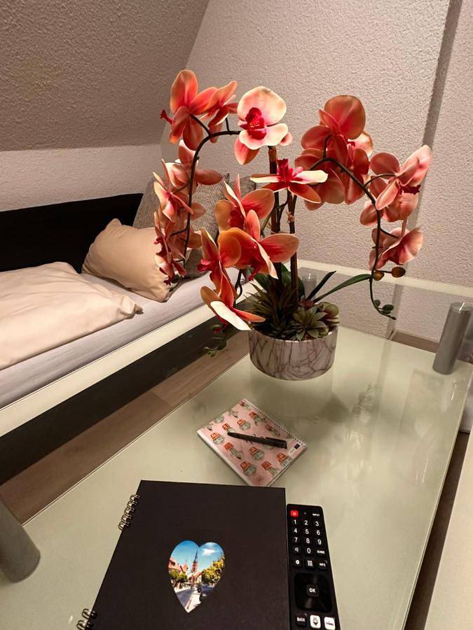 Ferienwohnung für 4 Personen in Gräfenhainichen - 3