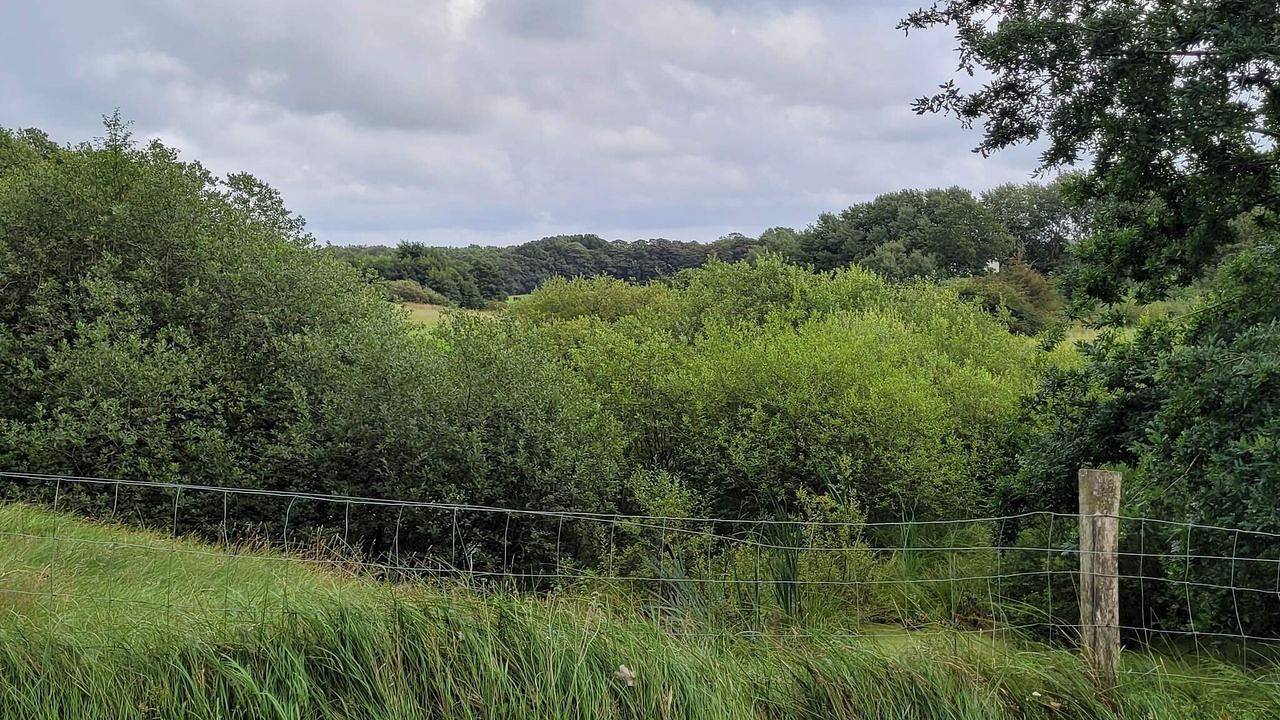 Ferienhaus für 5 Personen (56 m²) in Hovborg in Hovborg, Vejen