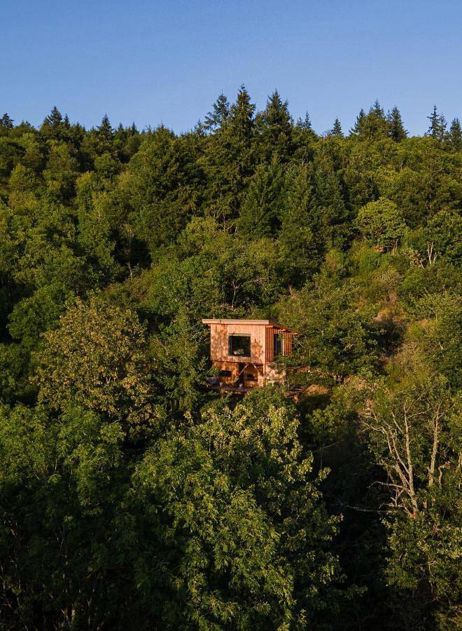 La Muzetiere Cabane du crêt in Chamelet, Beaujolais