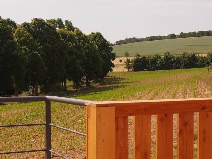 Ferienhaus für 4 Personen, mit Balkon und Terrasse in Münstermaifeld - 3