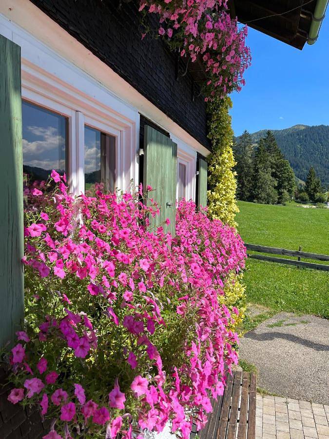 Gîte pour 2 personnes, avec jardin et vue à Balderschwang - 3