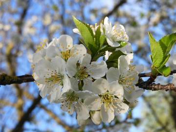 Ferienwohnung für 4 Personen in Oderwitz, Görlitz & Umgebung, Bild 1