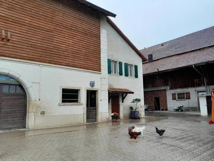 Gîte pour 6 personnes, avec terrasse dans Luins - 3