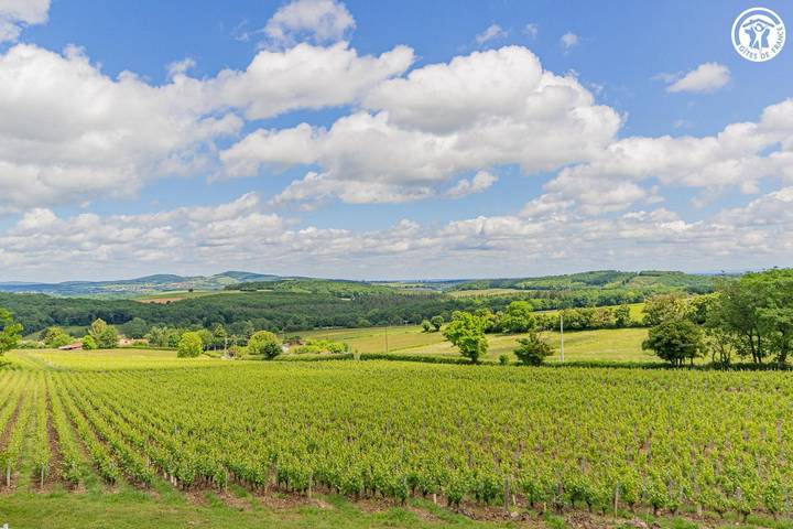 Le Clos des Vignes in Verzé, Mâcon und Umgebung