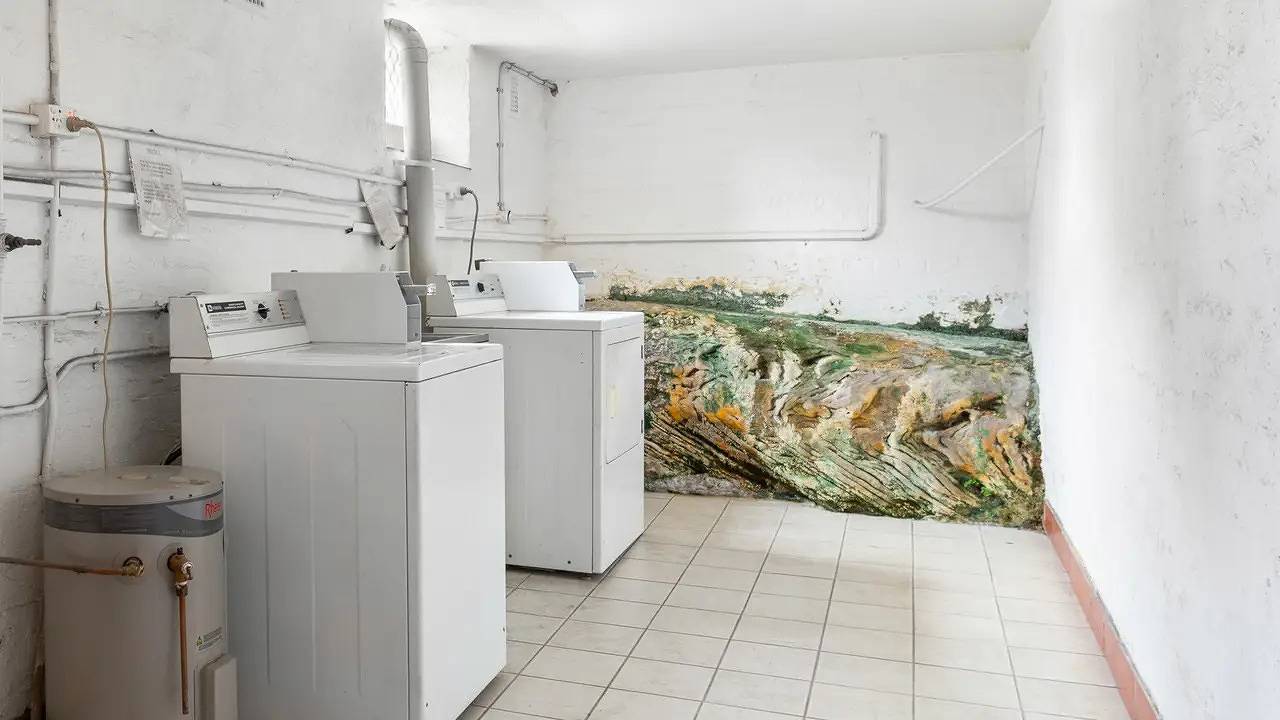 Entire holiday apartment, Ferienwohnung für 4 Personen (2 m²) in Kirribilli in Kirribilli, Sydney