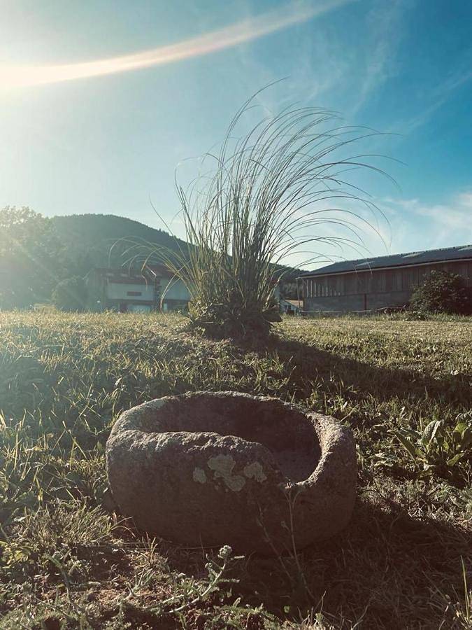 Appartement entier, La Pierre des Volcans Chaleureux Calme Champêtre in Aydat, Parc naturel régional des Volcans d'Auvergne