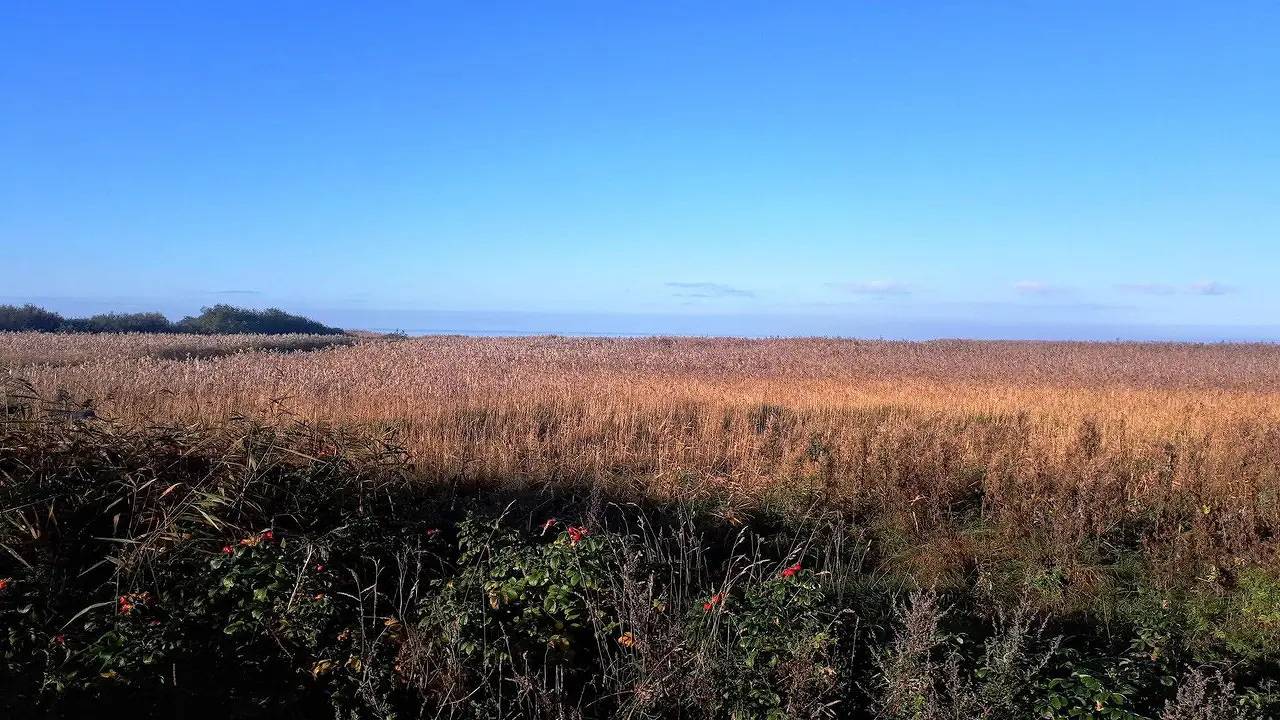 Ferienhaus für 5 Personen (90 m²) in Skjern in Skjern, Ringkøbing Fjord