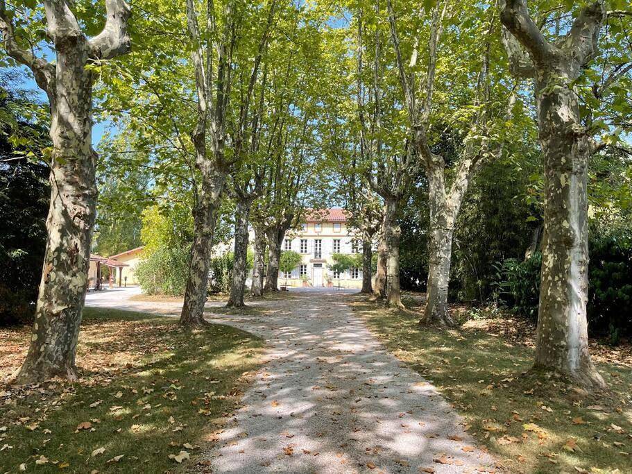 La Bourdette - Elegantes Herrenhaus im Boutique Stil in Daumazan-sur-Arize, Ariège