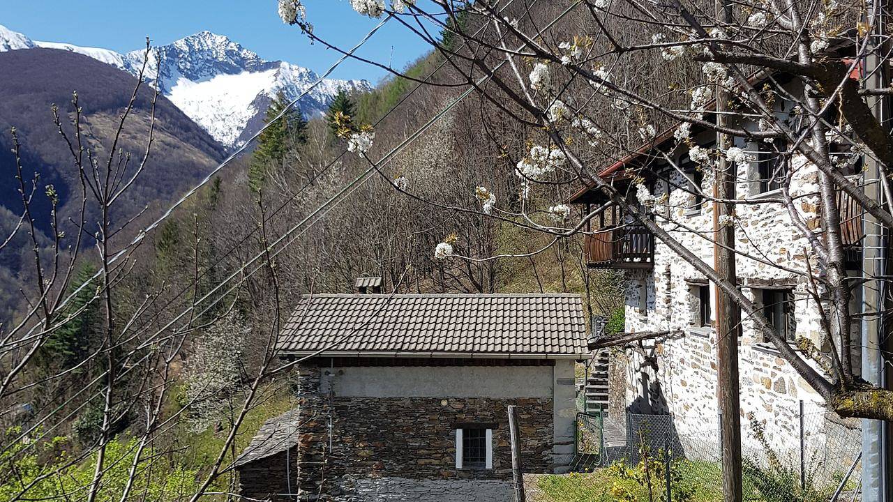 Ferienhaus für 5 Personen (100 m²) in Falmenta in Falmenta, Valle Cannobina