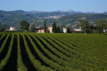 Agriturismo für 11 Personen, mit Garten und Pool in Norditalien
