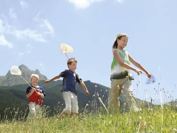 Chalet pour 4 Personnes dans Les Carroz, Grand Massif, Photo 1