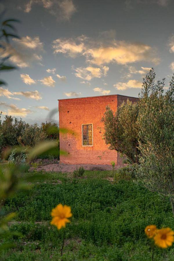 Chambre d’hôte pour 2 personnes, avec jardin ainsi que jacuzzi et piscine à Tameslouht - 4