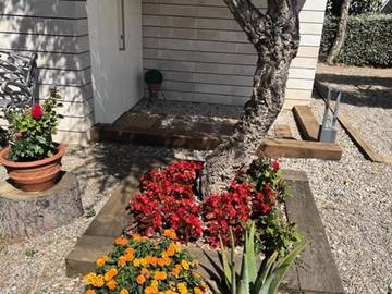 Villa für 8 Personen in Llafranc, Palafrugell, Bild 4