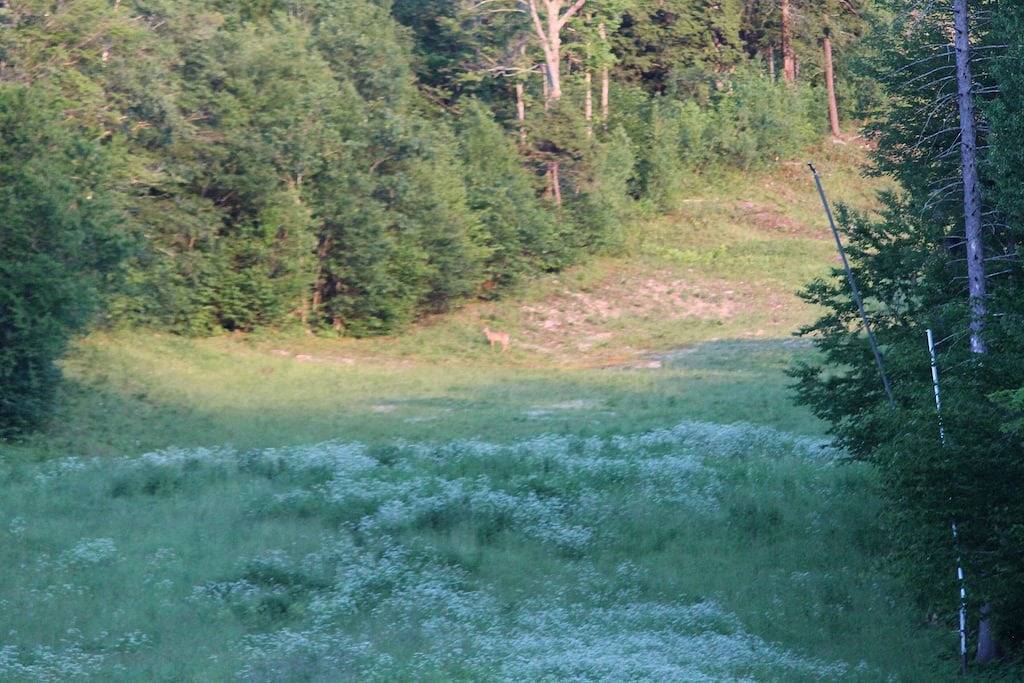 Wundervoller Berg. Sunapee Region Home Praktisch für viele Aktivitäten! in Newbury (NH), New Hampshire