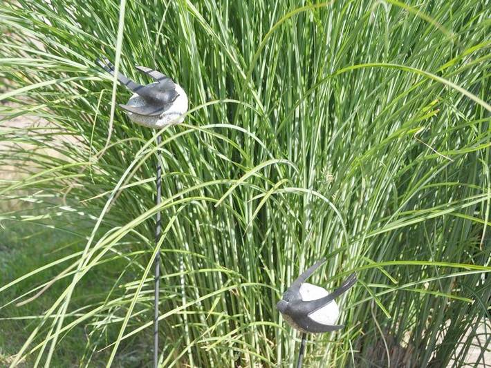 Bauernhaus für 2 Personen, mit Garten am Bodensee - 3