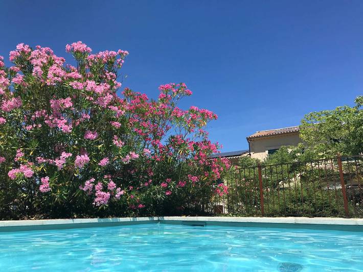 Location de vacances pour 10 personnes, avec terrasse et piscine dans La Ceze La Roque Sur Ceze - 4
