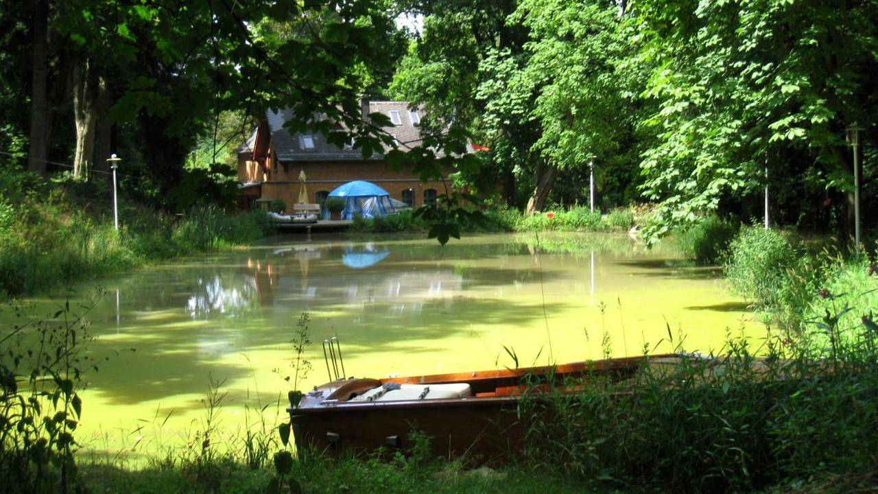 Ganze Wohnung, Kutscherhaus am Weiher in Hundsdorf, Westerwald