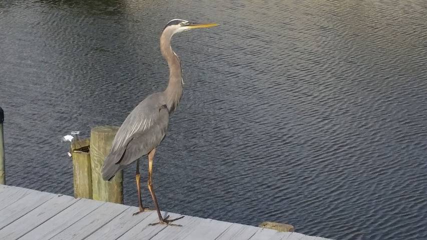 Wohnwagen für 8 Personen in Delaware