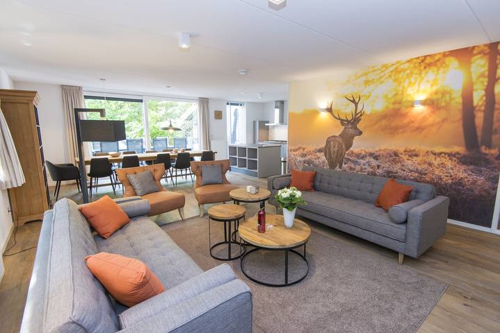 Bungalow voor 10 personen, met balkon/terras en terras in Hoenderloo