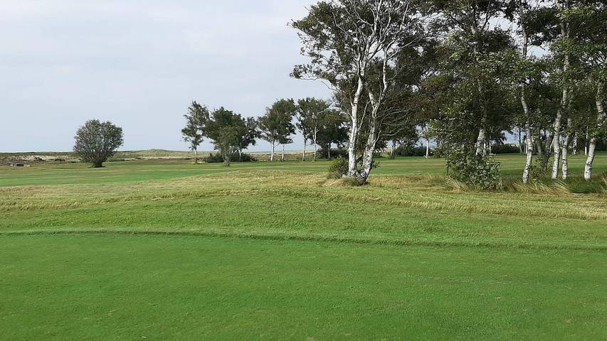 Ferienhaus für 9 Personen, mit Terrasse und Sauna sowie Whirlpool und Pool, mit Haustier auf Læsø - 4