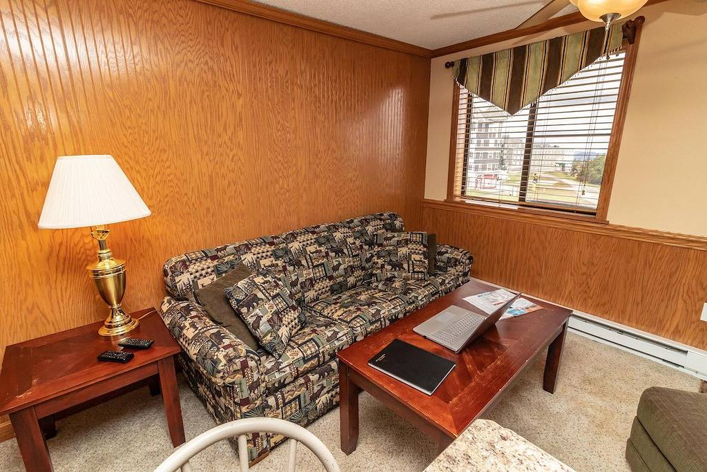 Ganze Wohnung, Keine Köder- Und Schalterpreise Beinhaltet Parken / Reinigung / Wlan 1Br / 1Ba Sleep 4 in Snowshoe, Greenbrier River