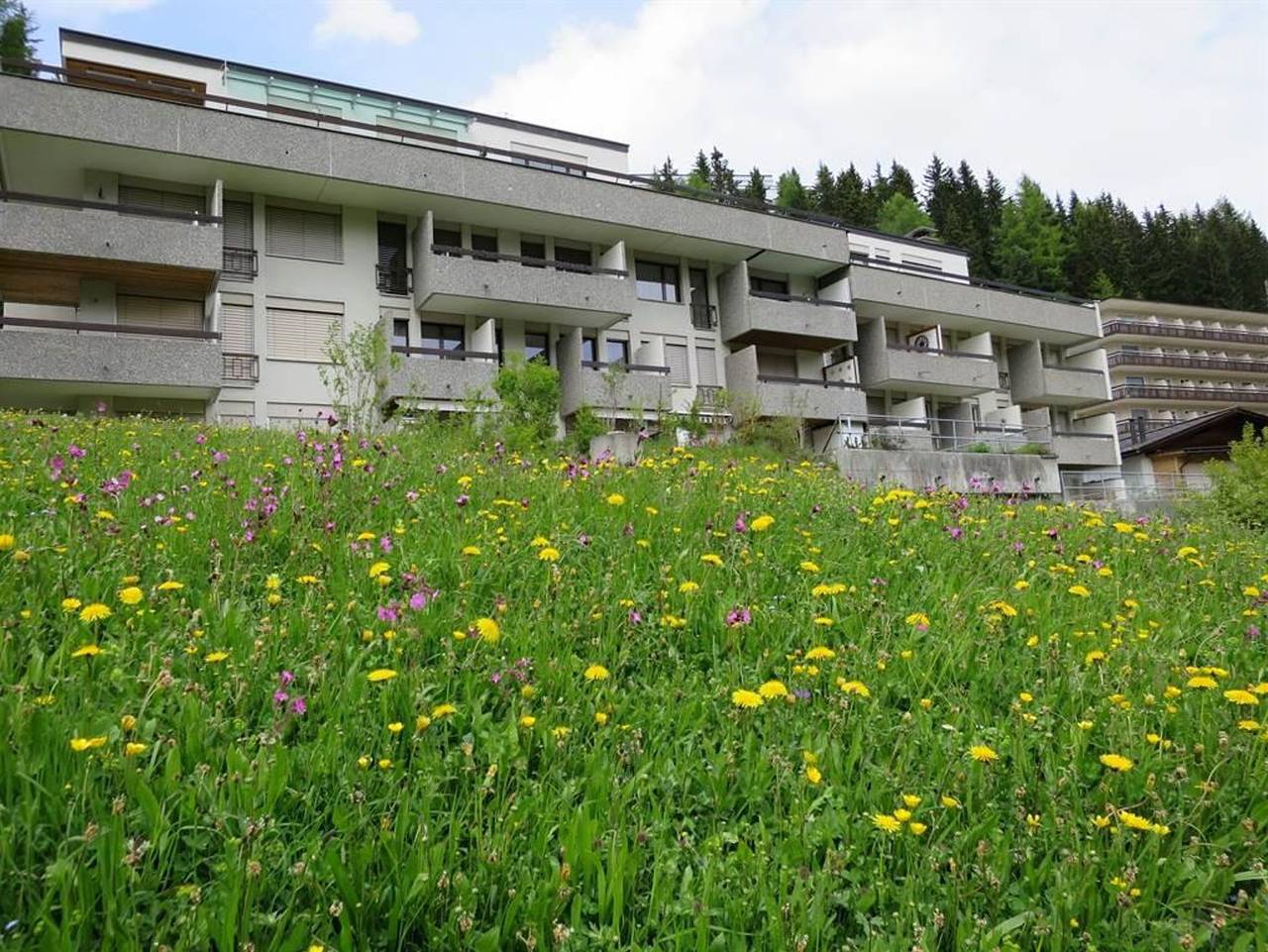 Ganze Ferienwohnung, Villa Franca U01 - Villa Franca in Arosa, Plessur Alpen