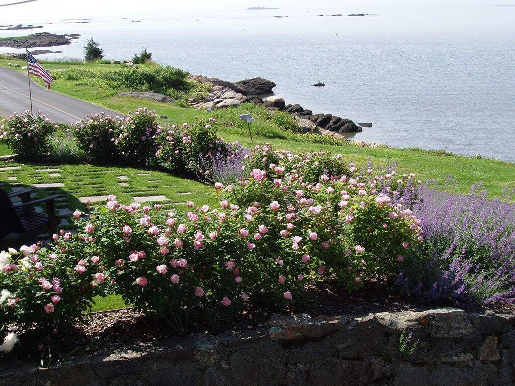 Tolle Aussicht von Long Island Sound! Entspannen, schwimmen, spazieren gehen und spüren Sie die Meeresbrise! in Guilford, Connecticut