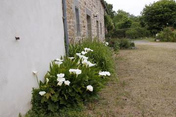 Gîte for 4 Guests in Saint-Donan, Bretagne, Picture 1