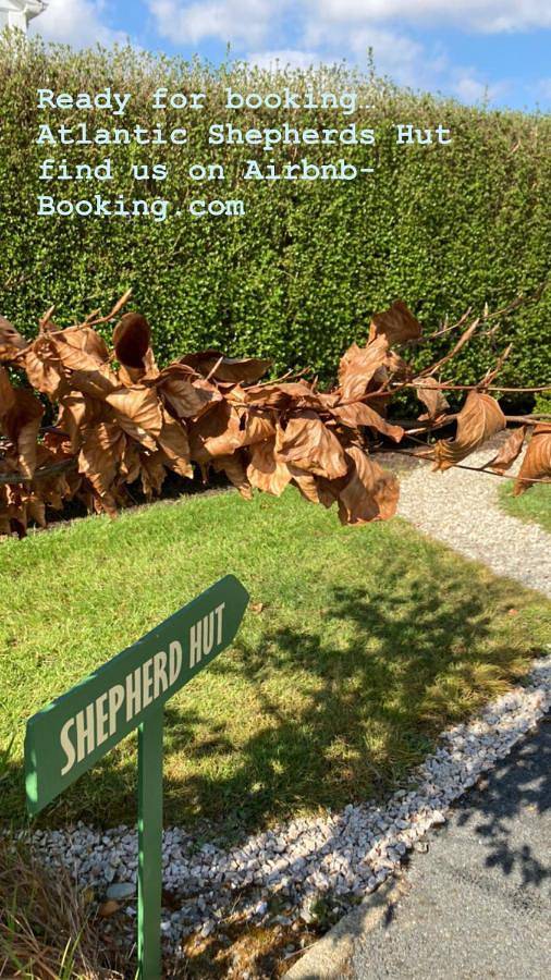 Tente pour 2 personnes, avec vue et jardin en Irlande - 3