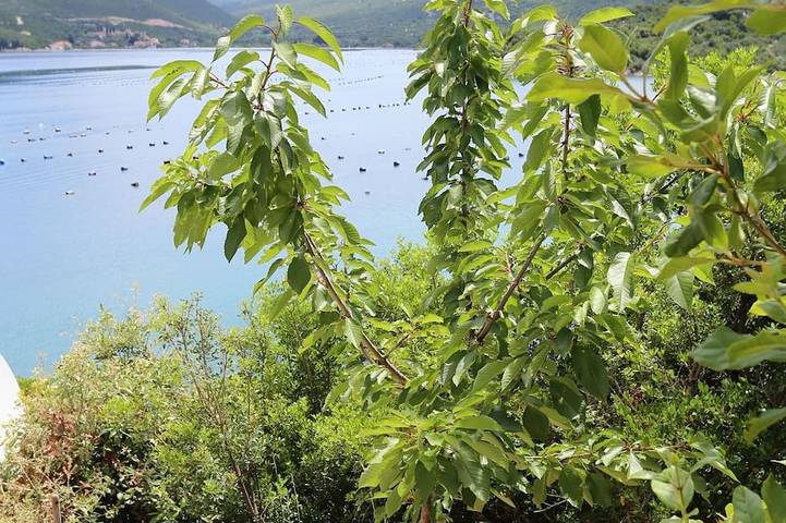 Ganze Wohnung, Studio Appartement am Strand Kabli, Peljesac in Dubrovnik-Neretva