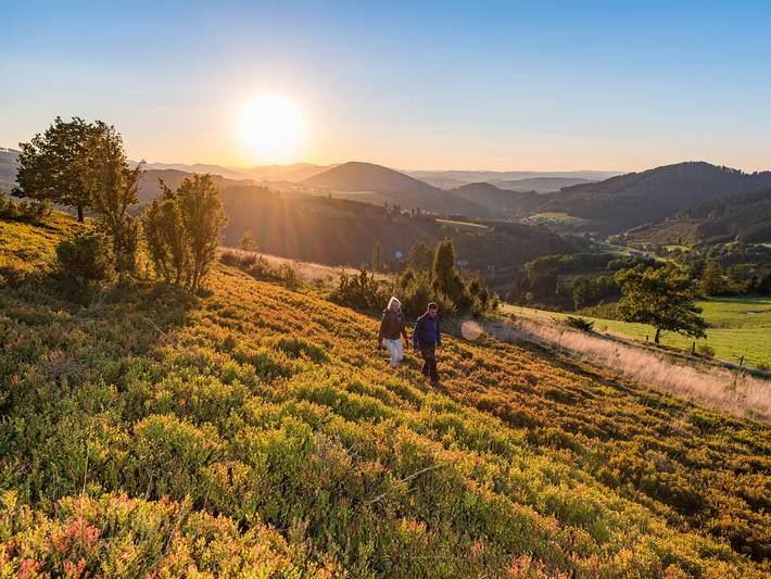 Hütte für 4 Personen, mit Garten, kinderfreundlich im Sauerland - 2