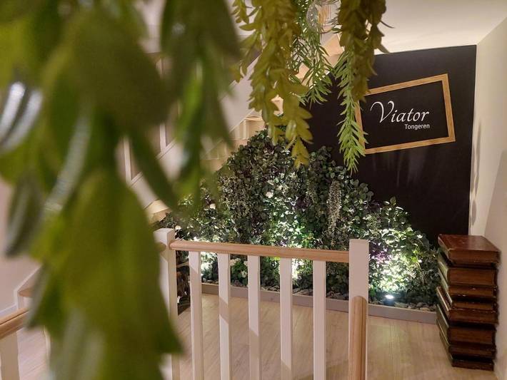 Chambre d’hôte pour 2 personnes, avec terrasse à Tongres - 2