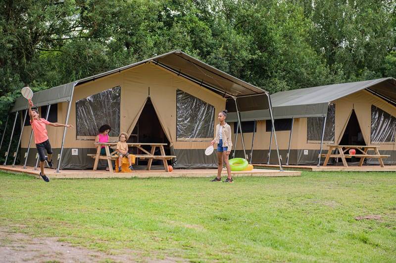 Tent voor 6 personen met terras in Veluwe