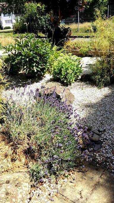 Bungalow für 10 Personen, mit Garten im Sauerland - 2