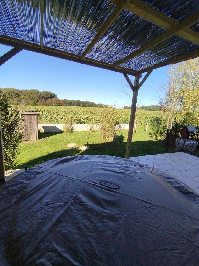 Location de vacances pour 6 personnes, avec vue et jardin, animaux acceptés à Luçay-le-Mâle - 2