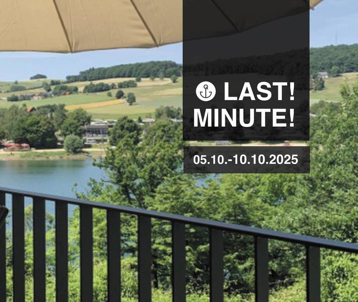 Ferienhaus für 4 Personen, mit Garten und Balkon sowie Sauna in Diemelsee