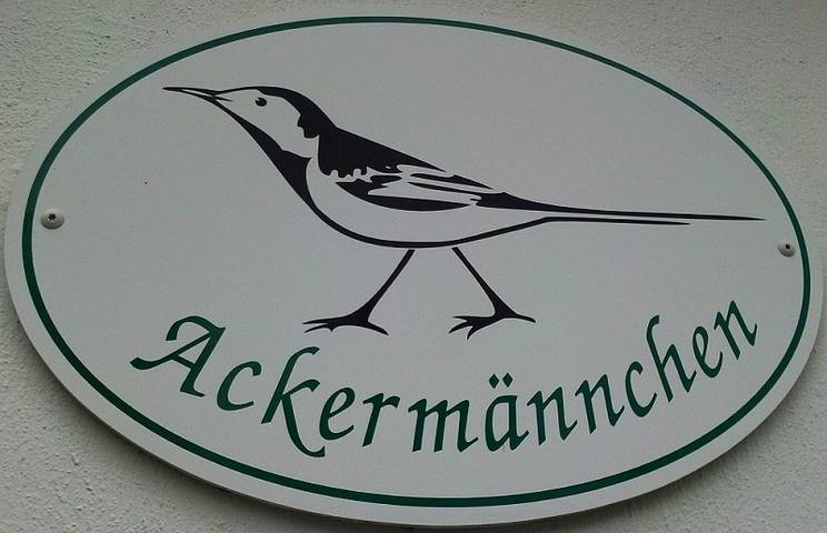 Ganze Ferienwohnung, Haus Ackermännchen - 3-Raum-Fewo in Hafen Büsum, Büsum