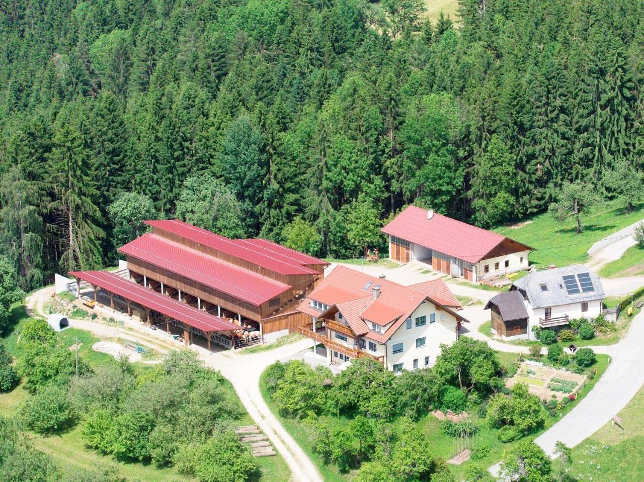 Ganze Wohnung, Ferienwohnungen Bauernhof Schilcher in Wolfsberg, Lavanttaler Alpen
