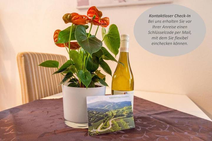 Maison d’hôte pour 2 personnes, avec vue et balcon à Titisee-Neustadt - 2